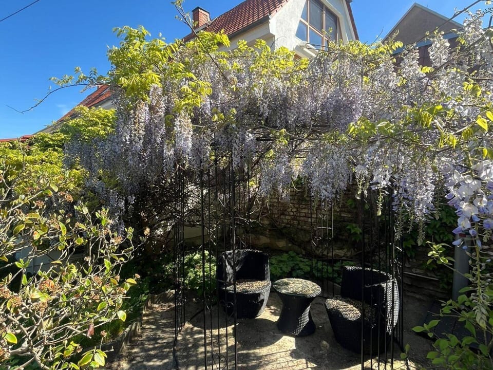 Apartment | Garden