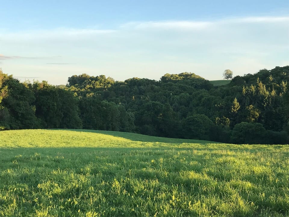 House | View from property