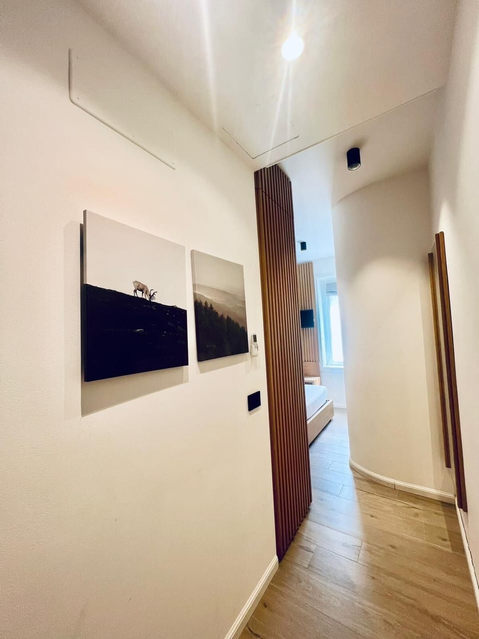 Deluxe Single Room | Down comforters, minibar, individually decorated, individually furnished