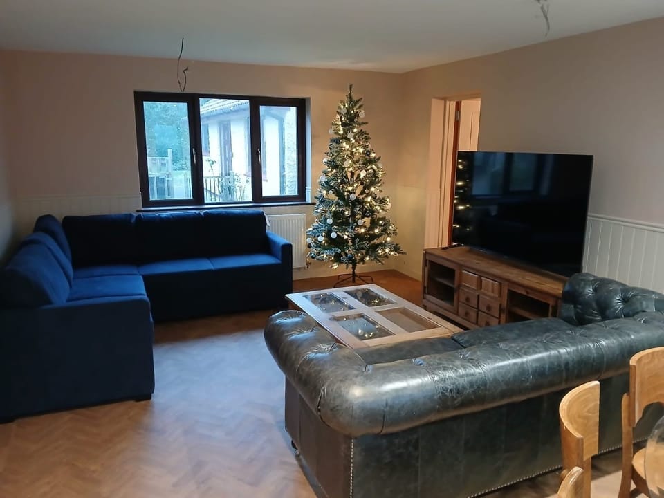 Flat-screen TV, fireplace
