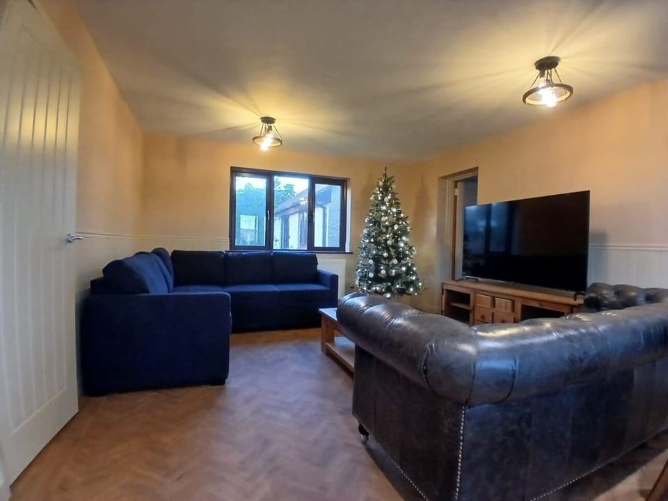 Flat-screen TV, fireplace