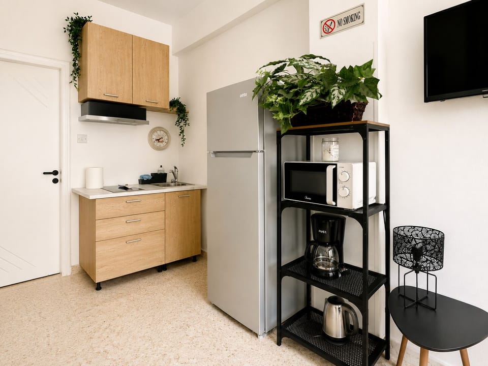 Studio, 1 Double Bed with Sofa bed, City View | Private kitchenette | Coffee/tea maker, full-size fridge, microwave, stovetop