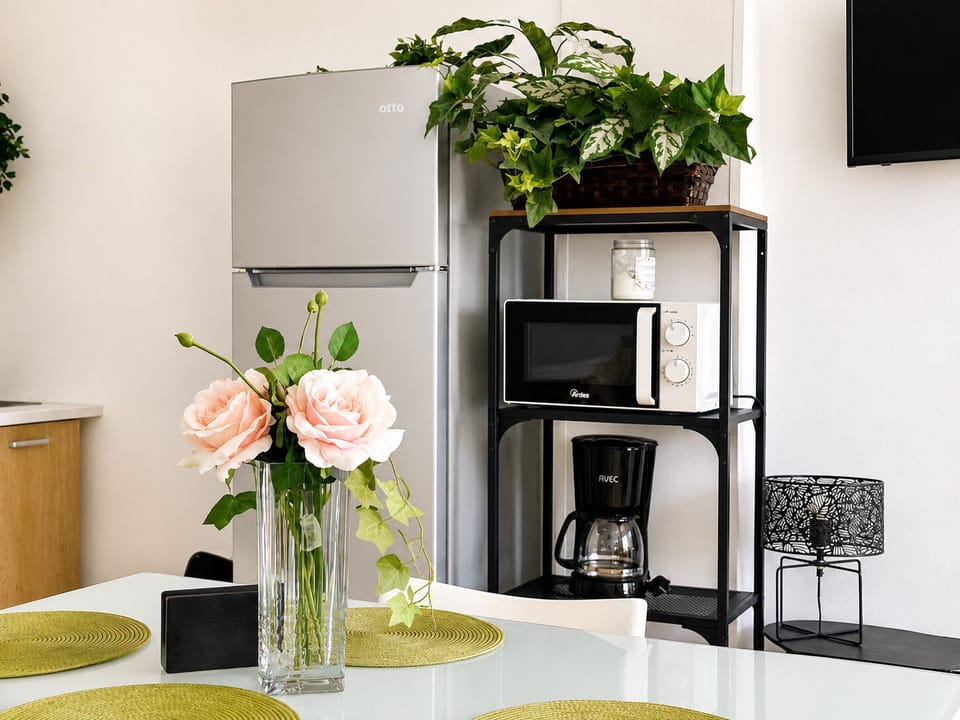 Studio, 1 Double Bed with Sofa bed, City View | Private kitchenette | Coffee/tea maker, full-size fridge, microwave, stovetop