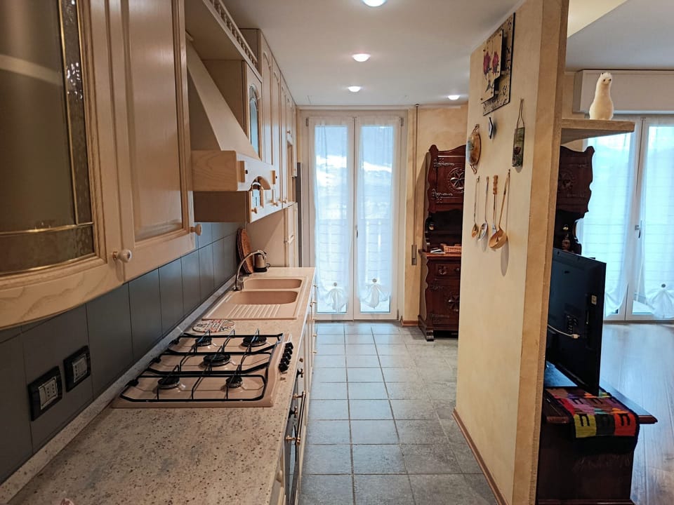 Apartment, Balcony, City View | Private kitchen