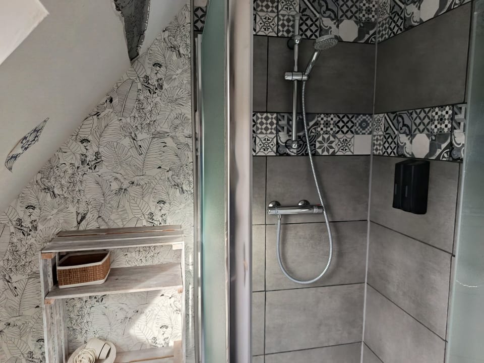 Classic Double Room | Bathroom | Shower, hair dryer, towels, soap