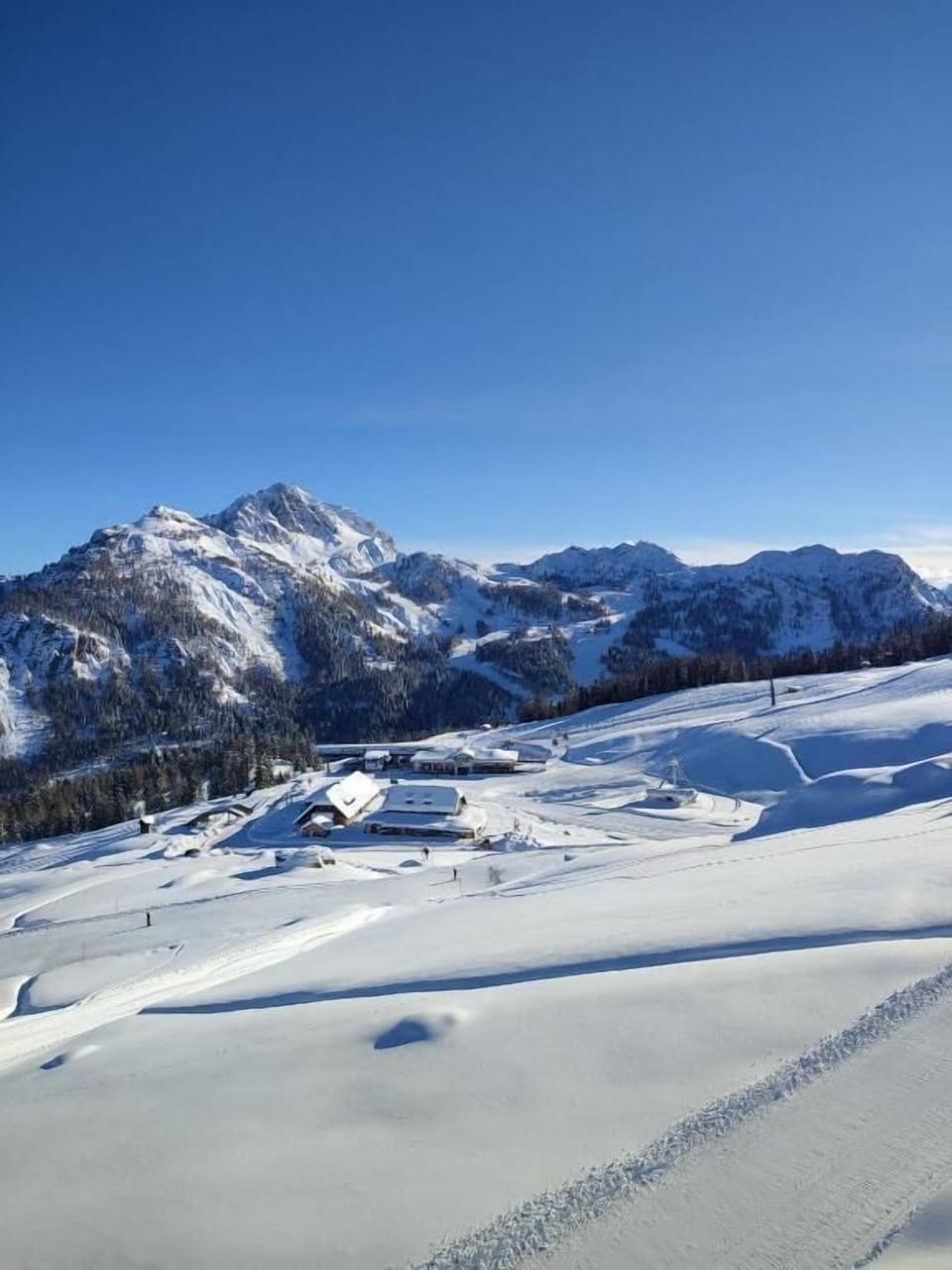 Snowshoeing