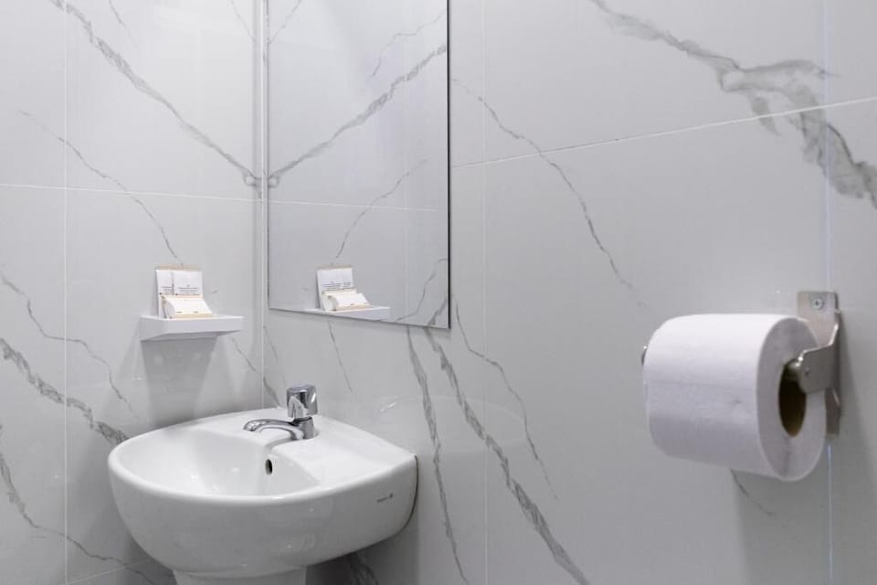 Premium Double Room | Bathroom | Shower, free toiletries, hair dryer, towels