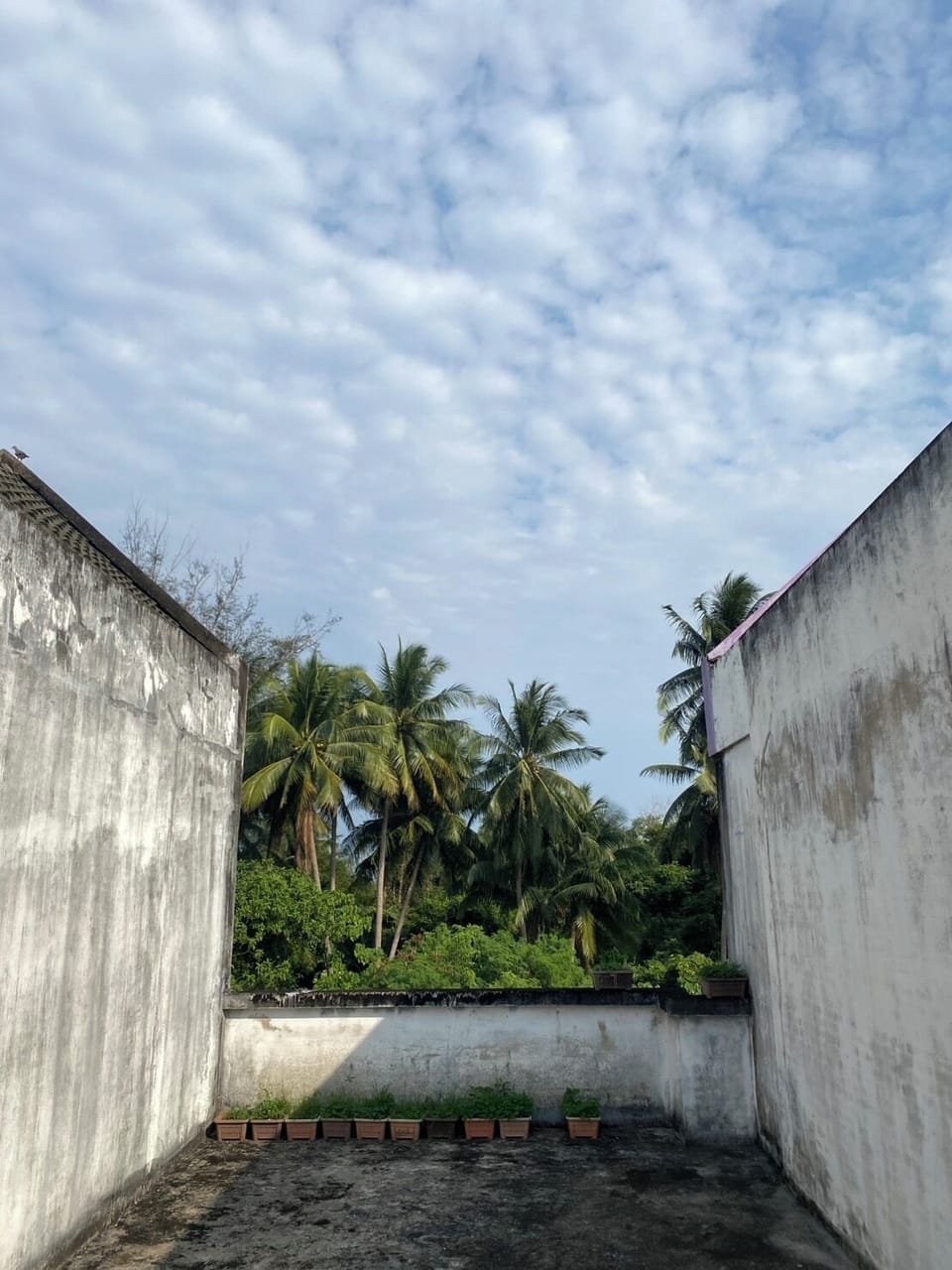 Basic Studio, Garden View | Miscellaneous