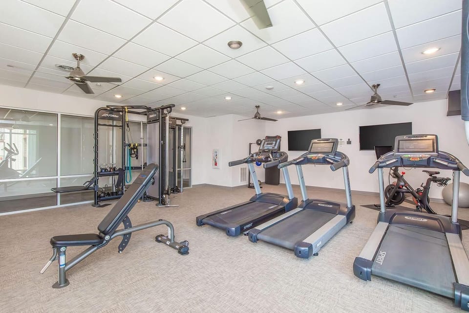 Landing Spectacular 1bd, Courtyard Apartment in Springfield