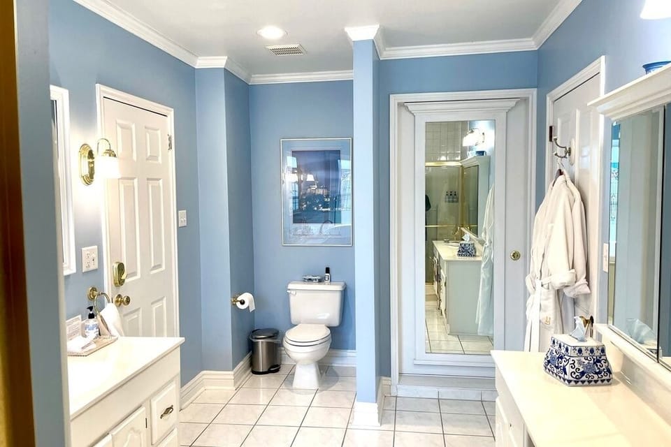 Combined shower/tub, jetted tub, free toiletries, hair dryer