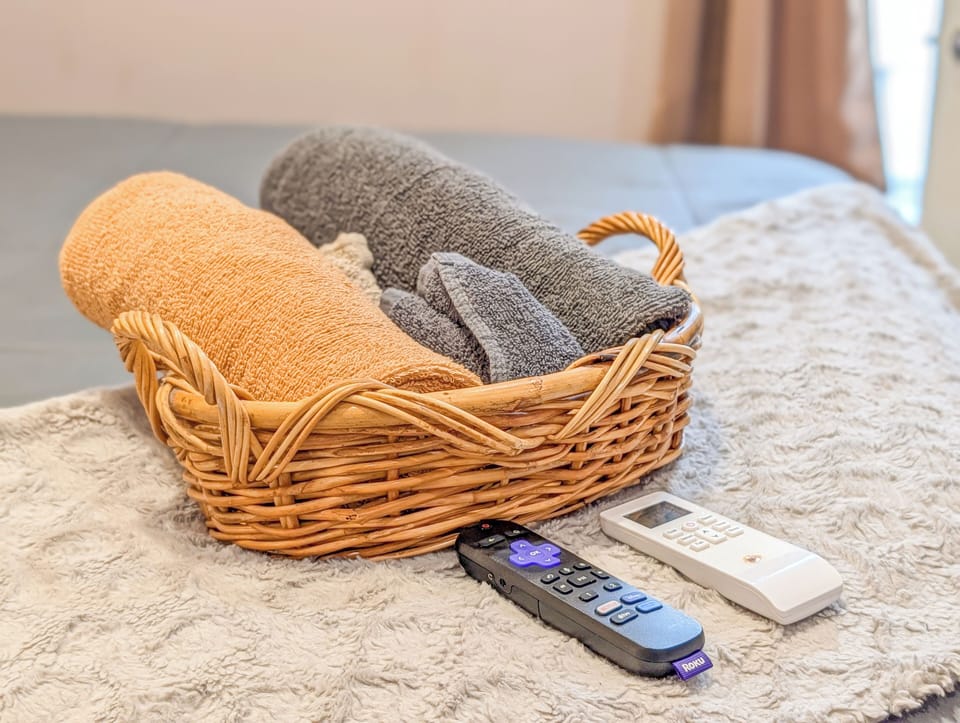 Classic Apartment, 4 Bedrooms, Pets Allowed | Room amenity