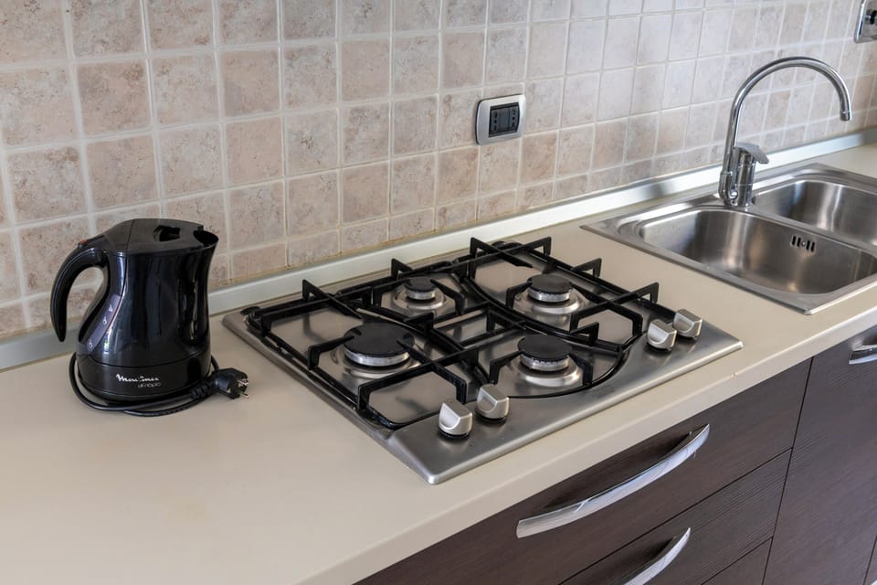 Full-size fridge, microwave, oven, stovetop