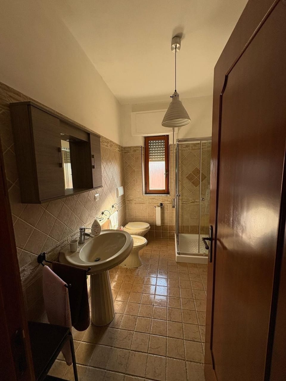 Hair dryer, bidet, towels, toilet paper