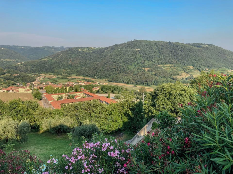 View from property
