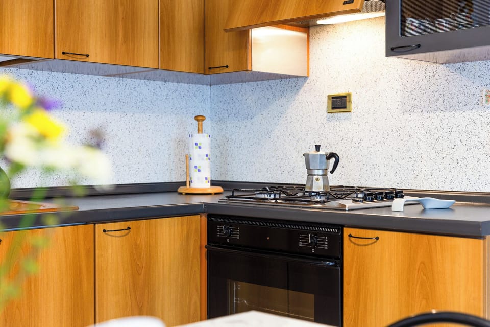 Full-size fridge, microwave, oven, stovetop