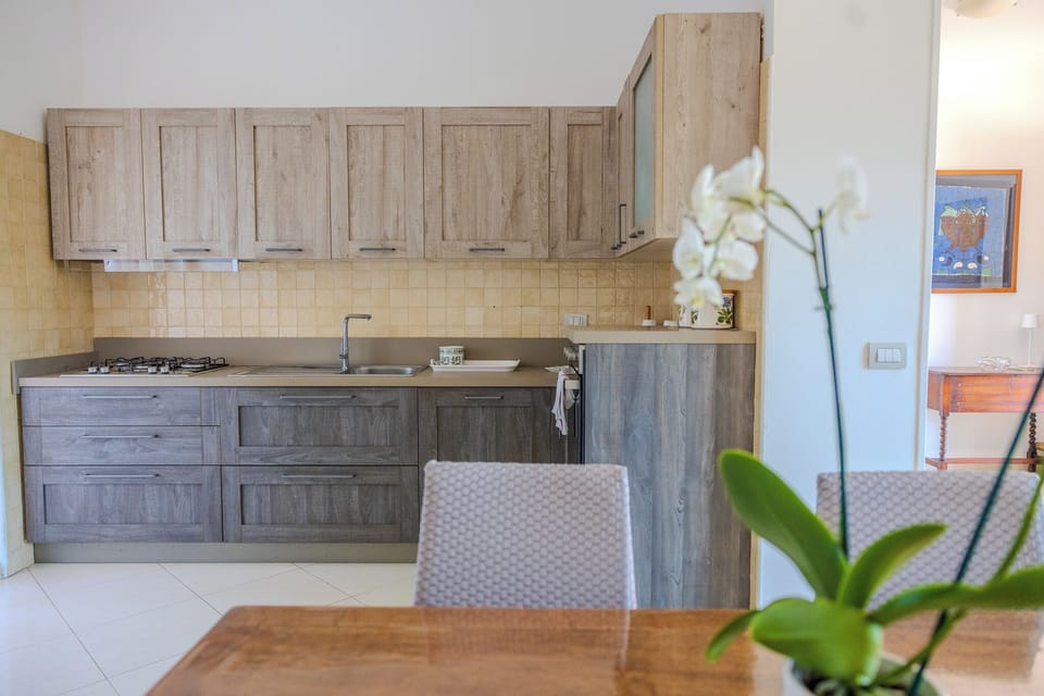 Full-size fridge, microwave, oven, stovetop