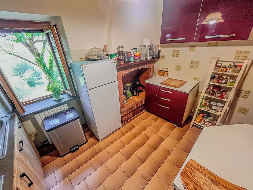 Deluxe Apartment | Private kitchen | Fridge, oven, stovetop, dishwasher