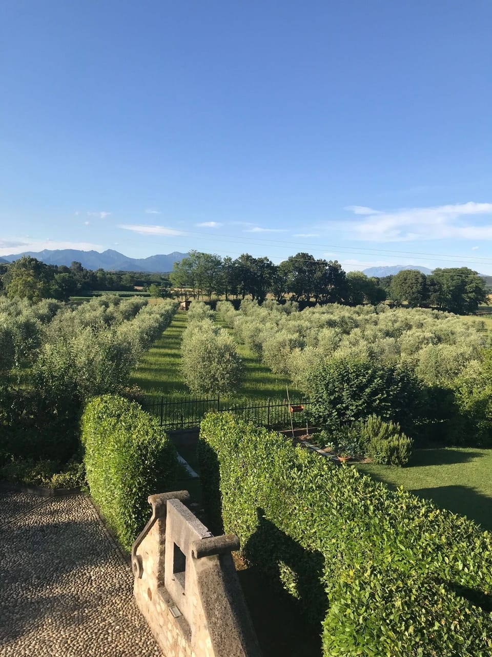Twin Room, Multiple Beds | View from room