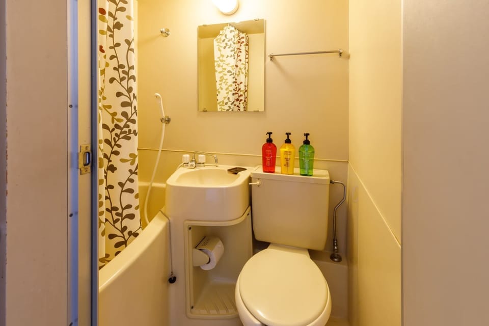Hair dryer, towels, shampoo, toilet paper