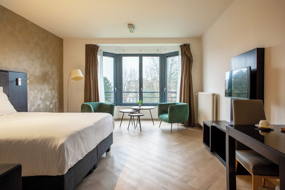 Superior Studio, 1 King Bed | 1 bedroom, soundproofing, iron/ironing board, free WiFi