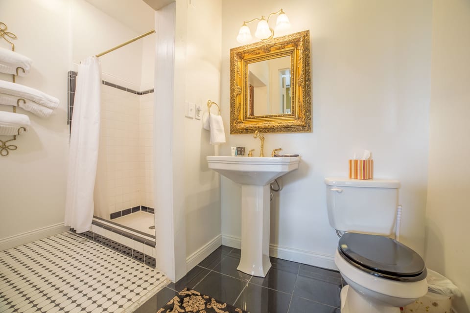 Room, Private Bathroom (Hotty Toddy) | Bathroom | Shower, designer toiletries, hair dryer, bathrobes