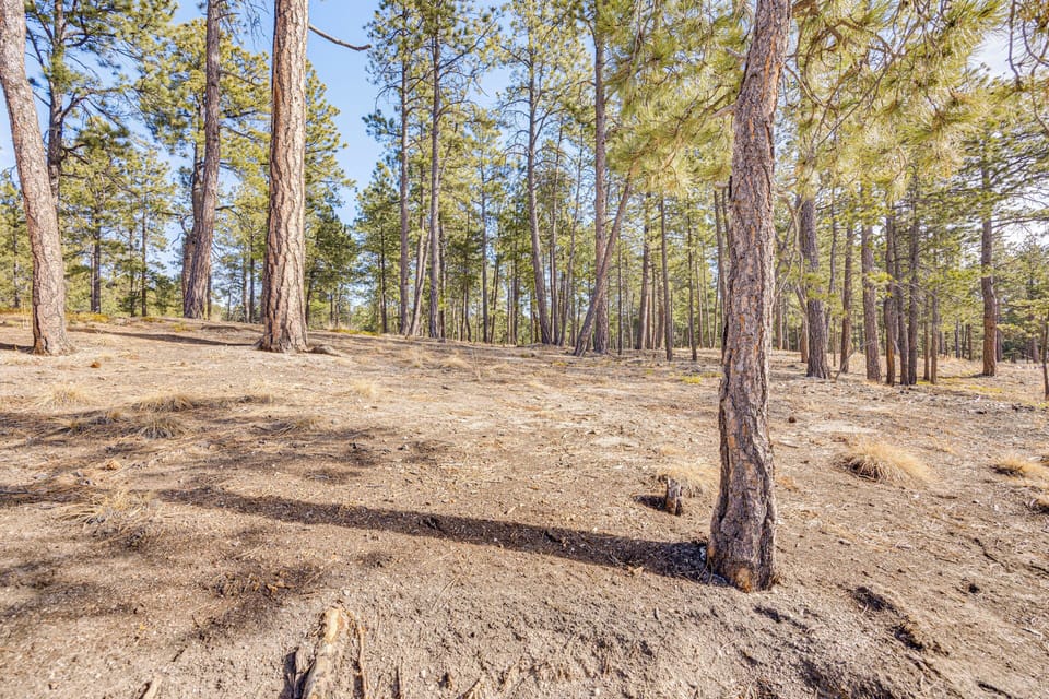 House (1 Bedroom) | Interior