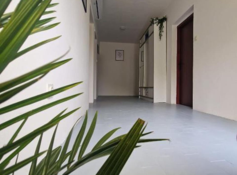 Apartment (Three Bedroom Apartment With Balcony ) | 1 bedroom