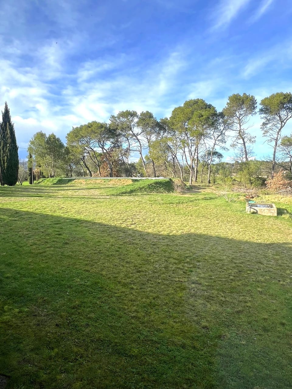 Superior Duplex, Pool View | View from room
