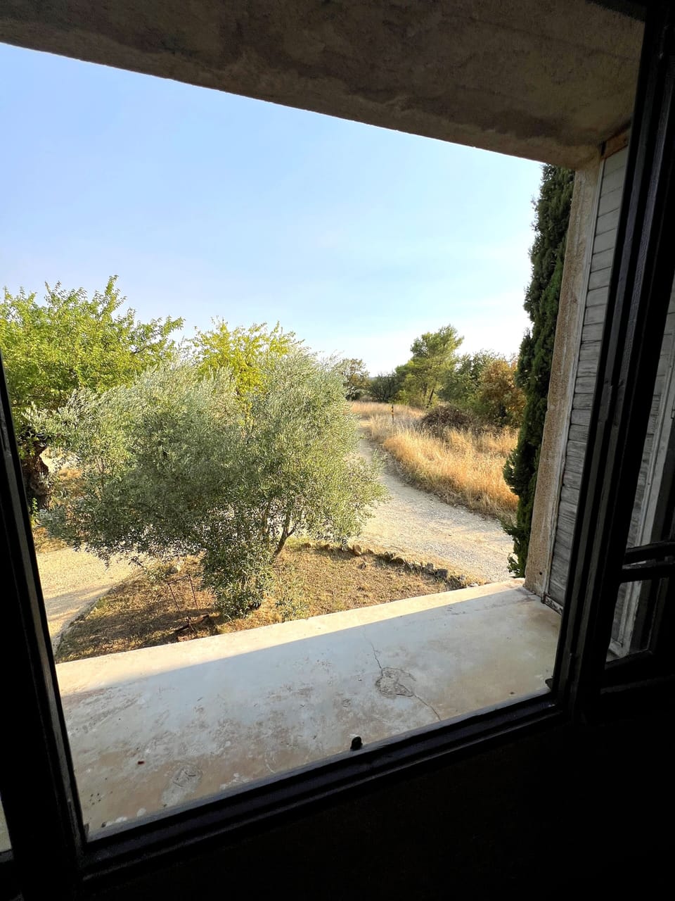View from room