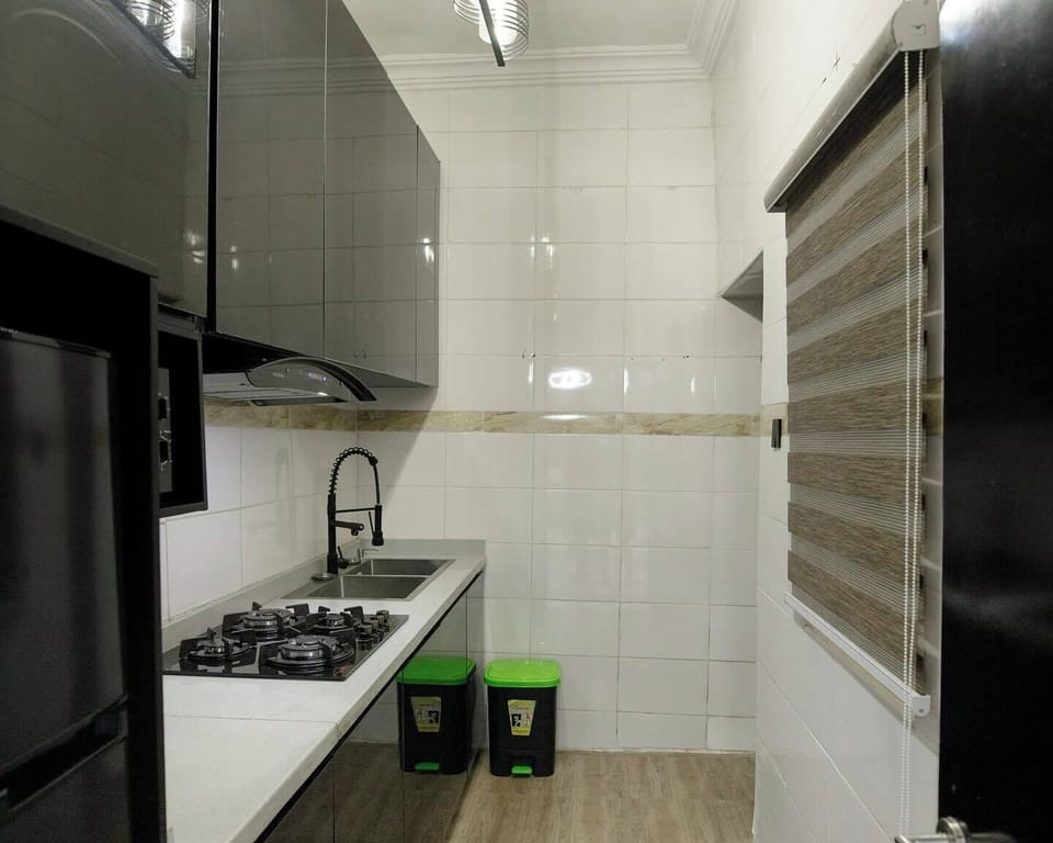 Deluxe Apartment, Balcony, City View | Private kitchen | Fridge, microwave, oven, stovetop