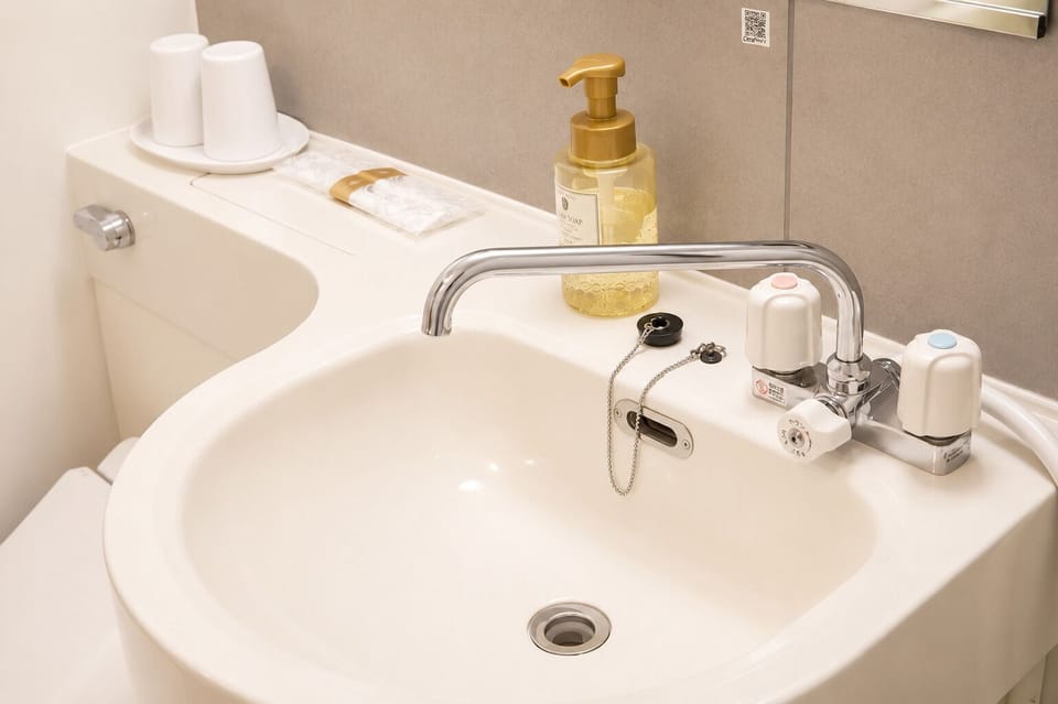 Bathtub, hair dryer, electronic bidet, towels