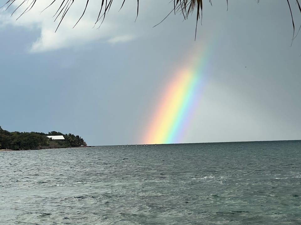 Studio, Kitchenette, Beach View | Miscellaneous