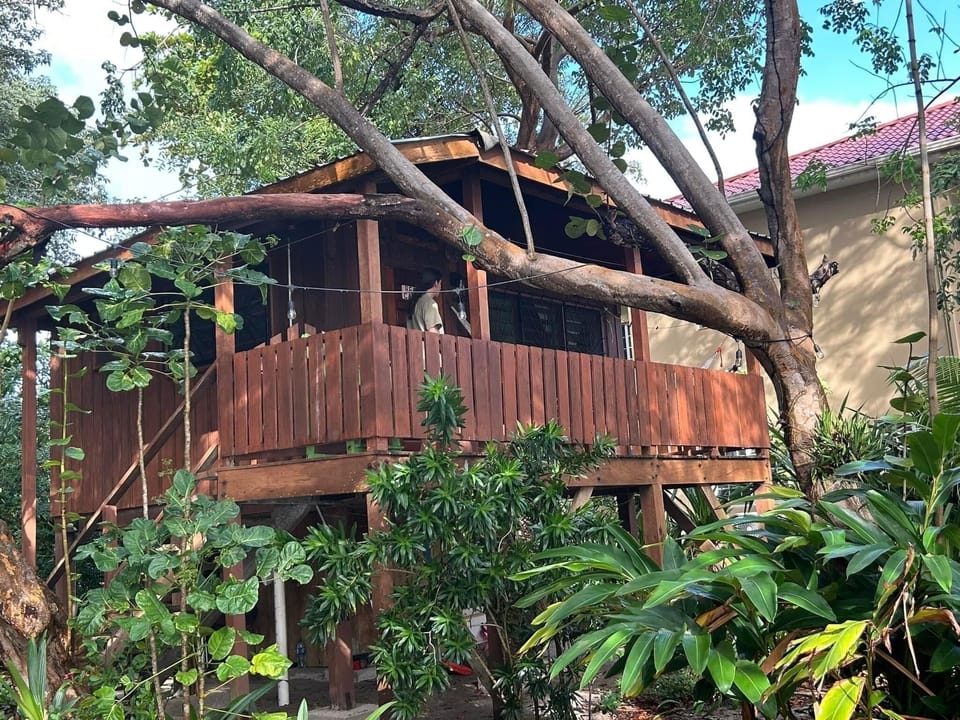 Studio, Kitchenette, Beach View | Exterior