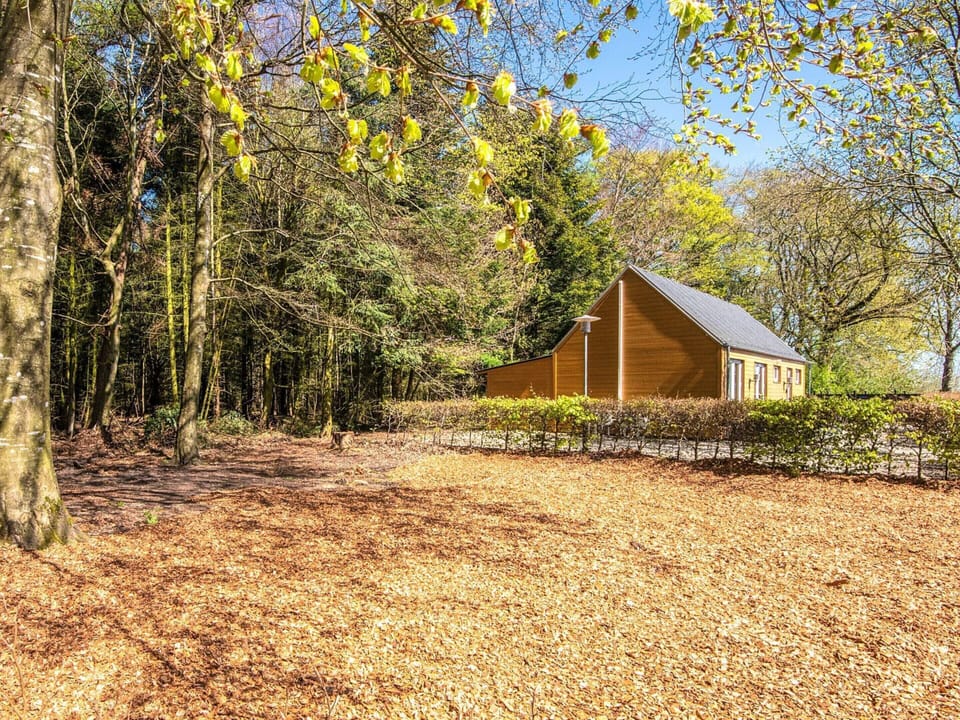 House | Property grounds