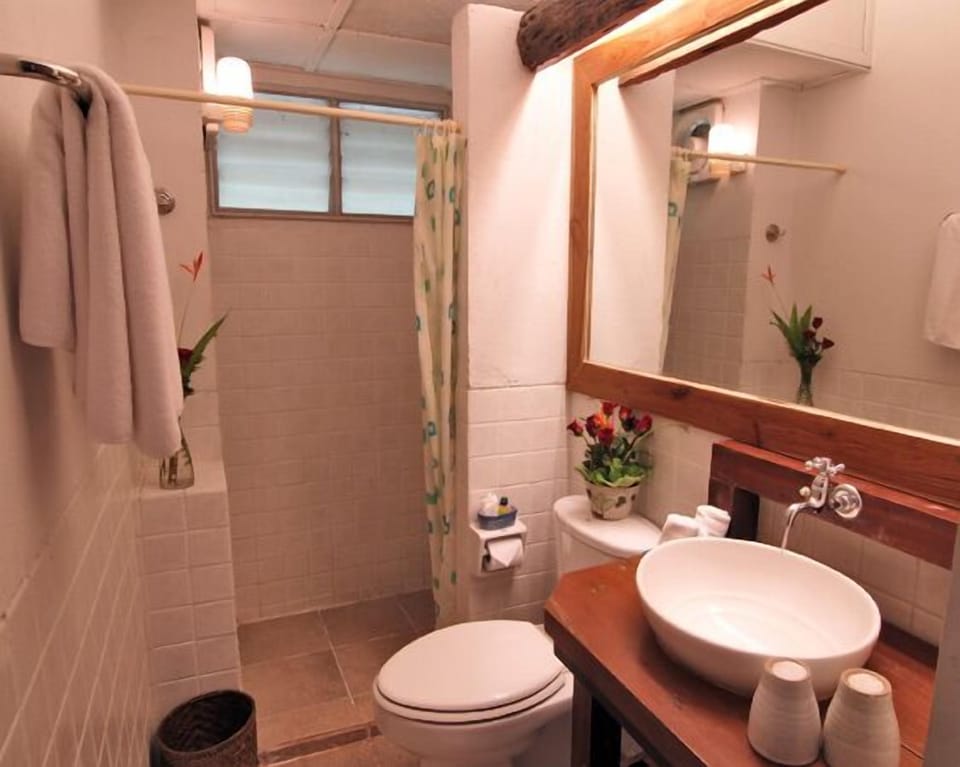 Standard Double Room Single Use, 1 Double Bed | Bathroom | Shower, free toiletries, hair dryer