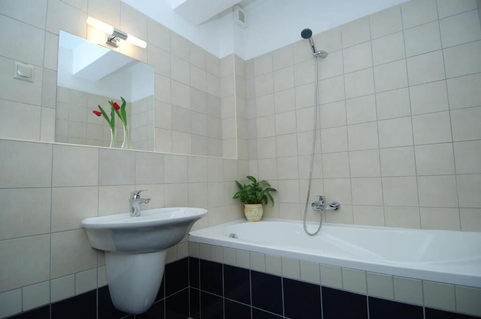 Bathtub, towels, soap, shampoo