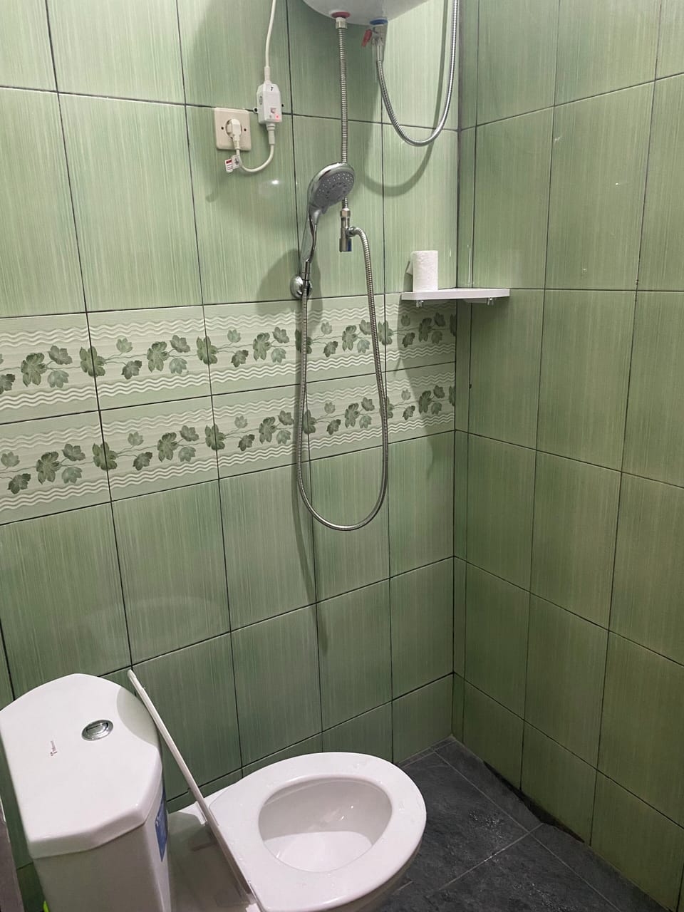 Soap, shampoo, toilet paper