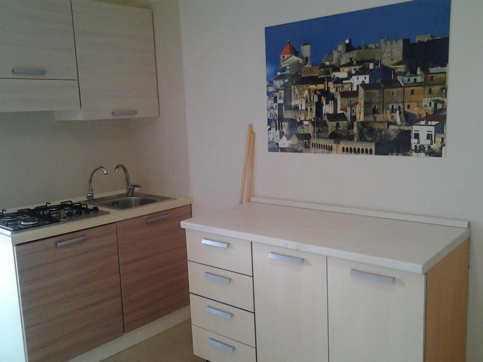 Fridge, cookware/dishes/utensils