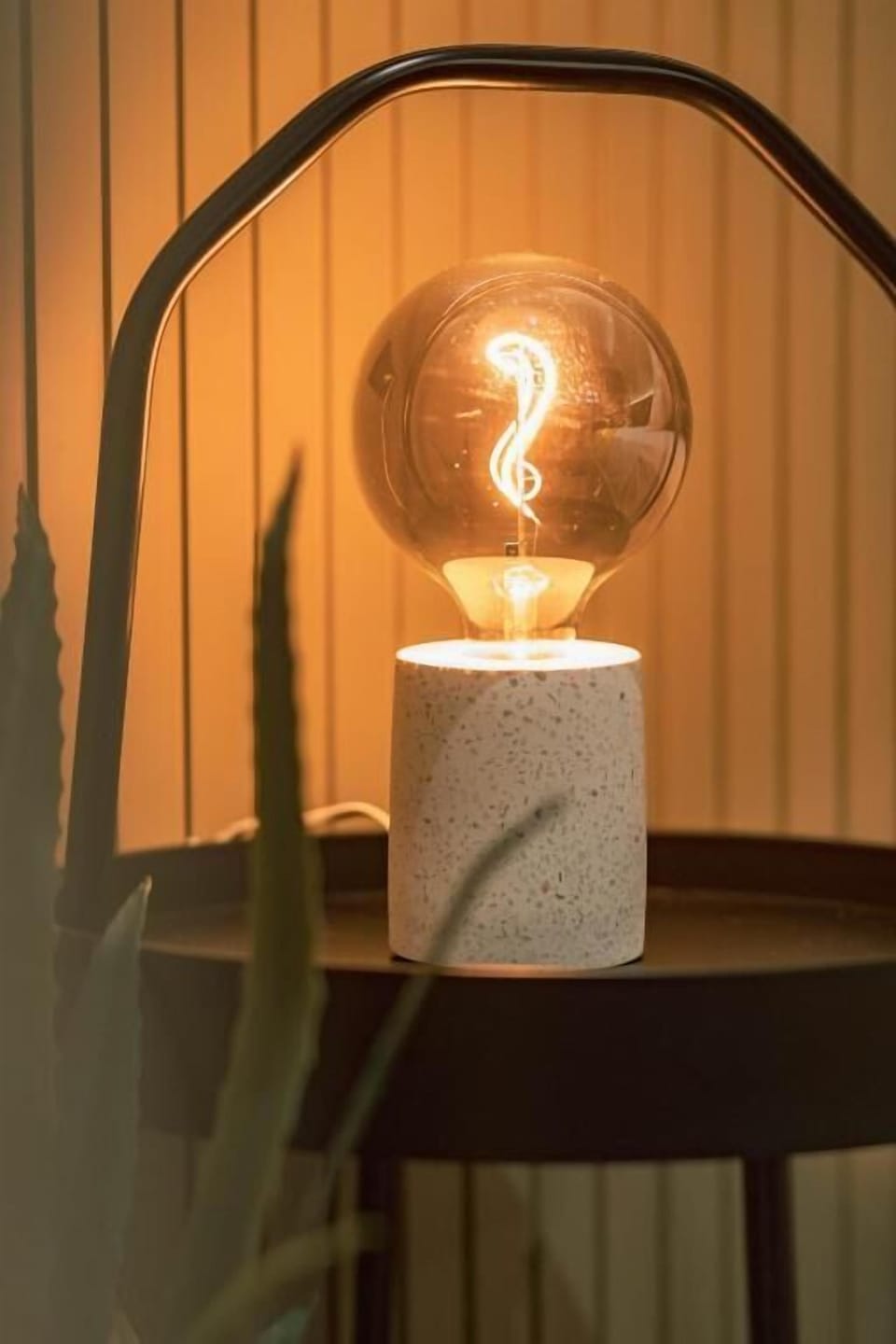 House, 1 Bedroom (Terra) | Interior detail