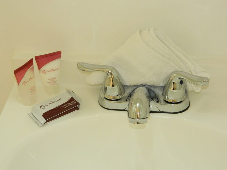Standard Room, 1 Queen Bed, Private Bathroom | Bathroom amenities | Combined shower/tub, free toiletries, hair dryer, towels