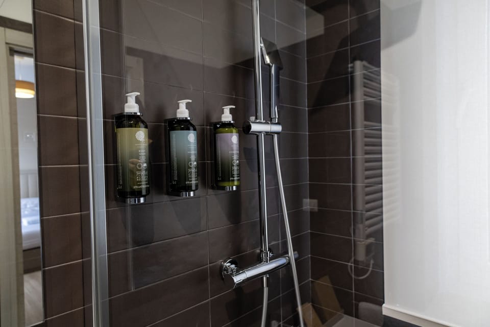 Double Room | Bathroom amenities | Shower, hair dryer, slippers, towels