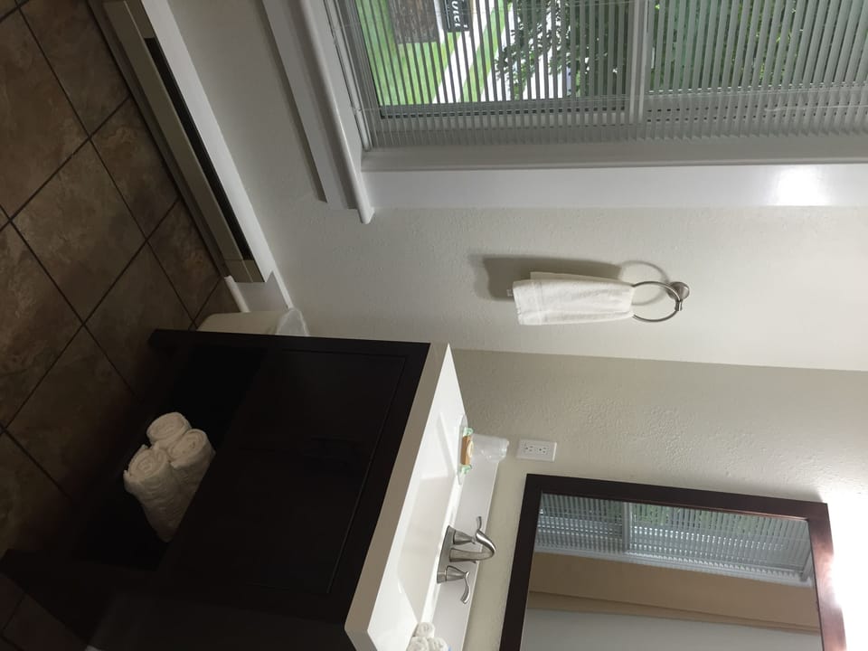 Exclusive Room, 1 King Bed, Refrigerator & Microwave, Courtyard View | Bathroom | Free toiletries, towels, soap, shampoo
