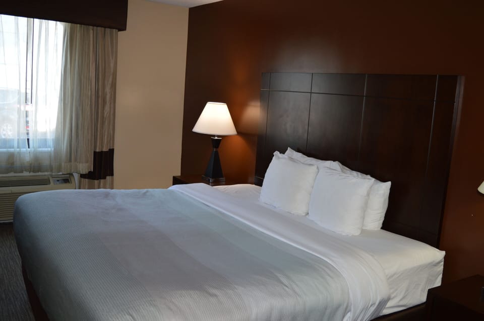 Standard Room, 1 King Bed, Non Smoking | Desk, iron/ironing board, rollaway beds, free WiFi