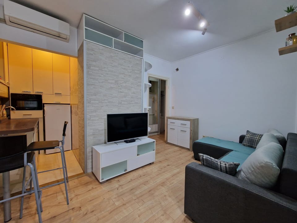 Standard Apartment | Living area