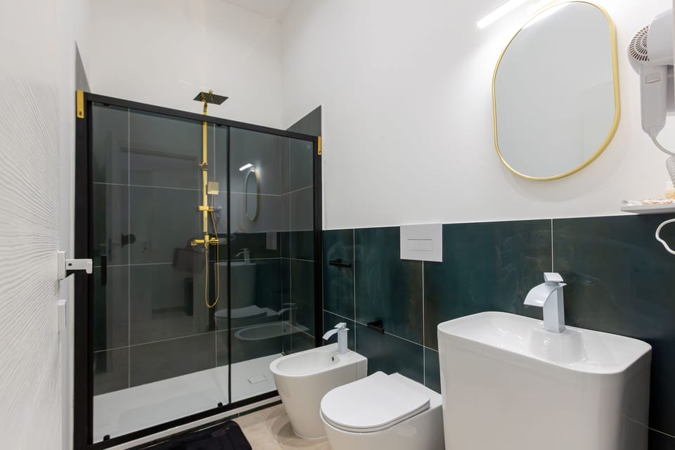 Shower, hair dryer, bidet, towels