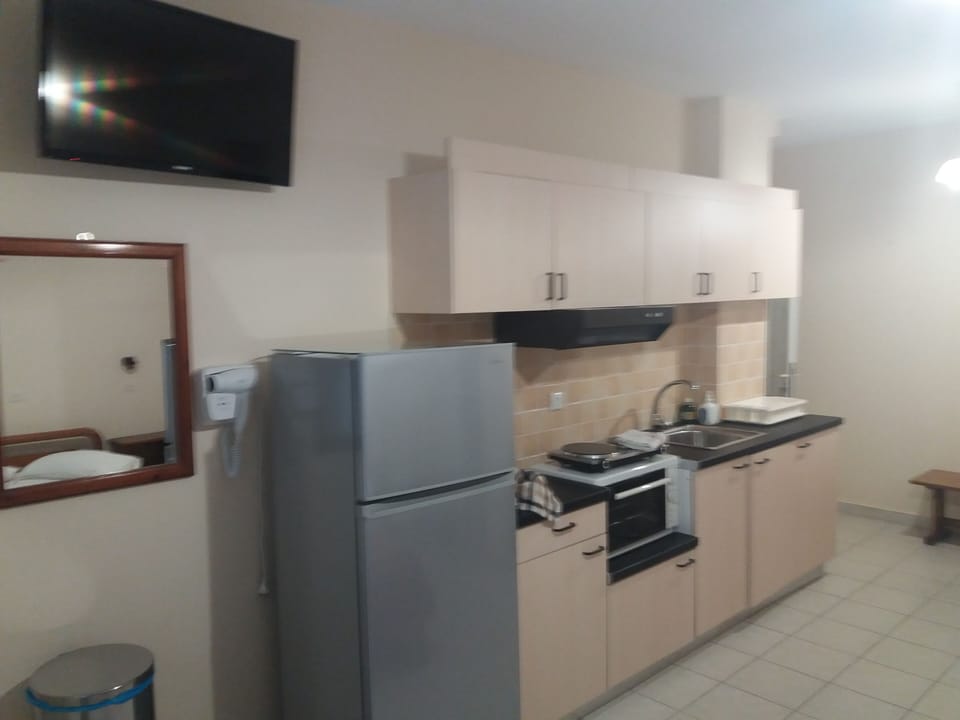 Standard Studio | Private kitchen | Fridge, oven, stovetop, electric kettle