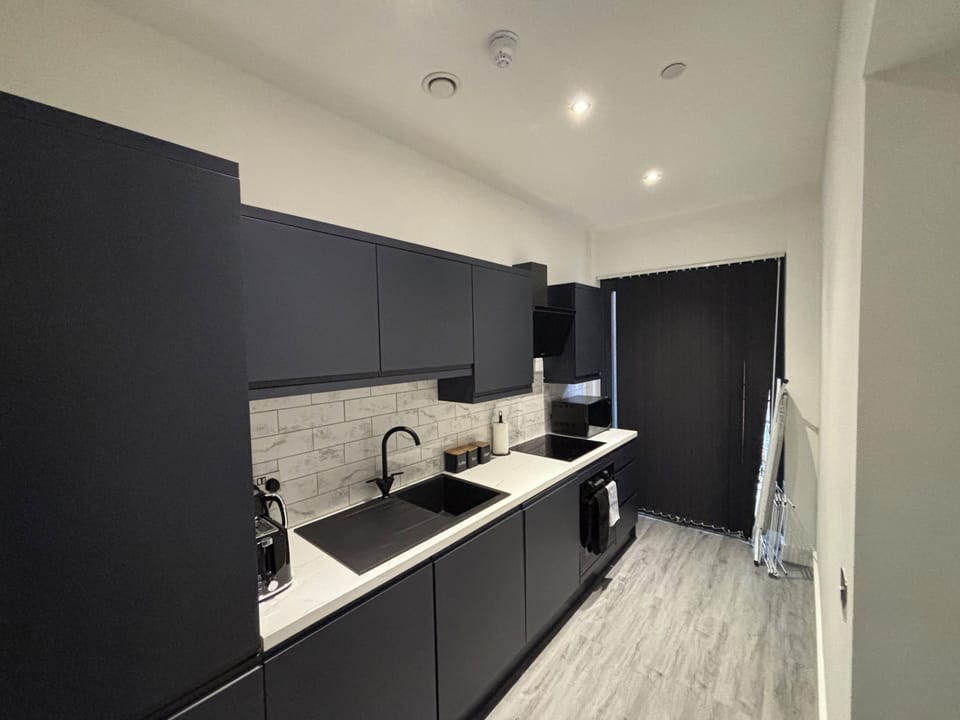 Deluxe Apartment, 1 Bedroom, Balcony | Private kitchen | Full-size fridge, microwave, oven, stovetop