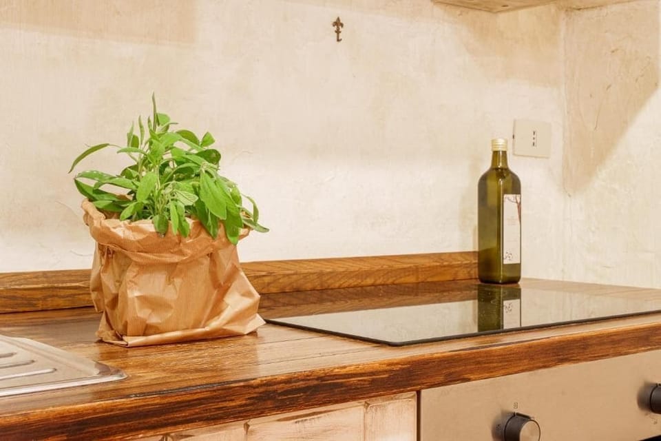 Fridge, oven, stovetop, cookware/dishes/utensils