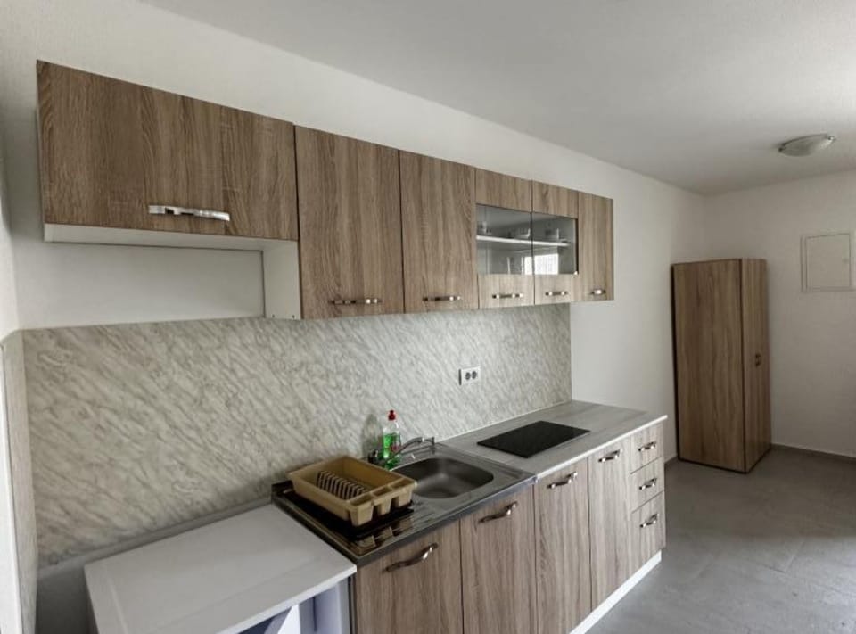 Apartment (One bedroom apartment 1) | Private kitchenette | Fridge