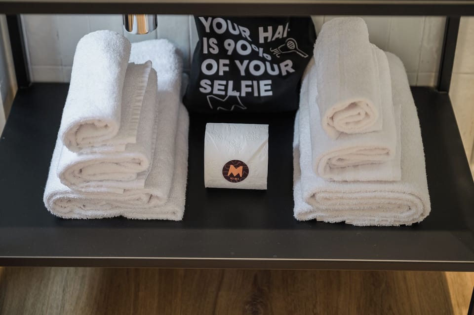 Shower, free toiletries, hair dryer (on request), bidet